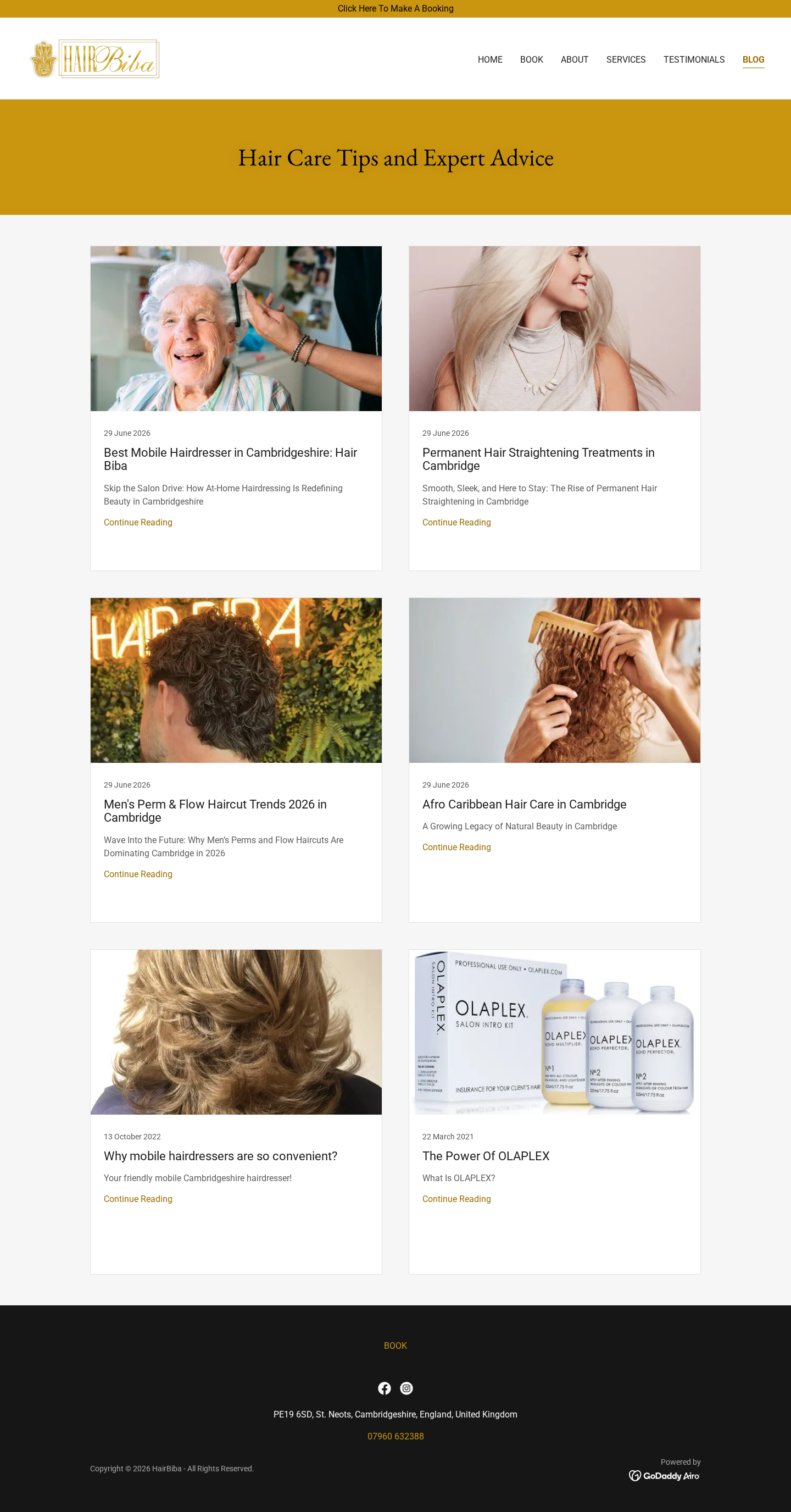 Old HairBiba blog