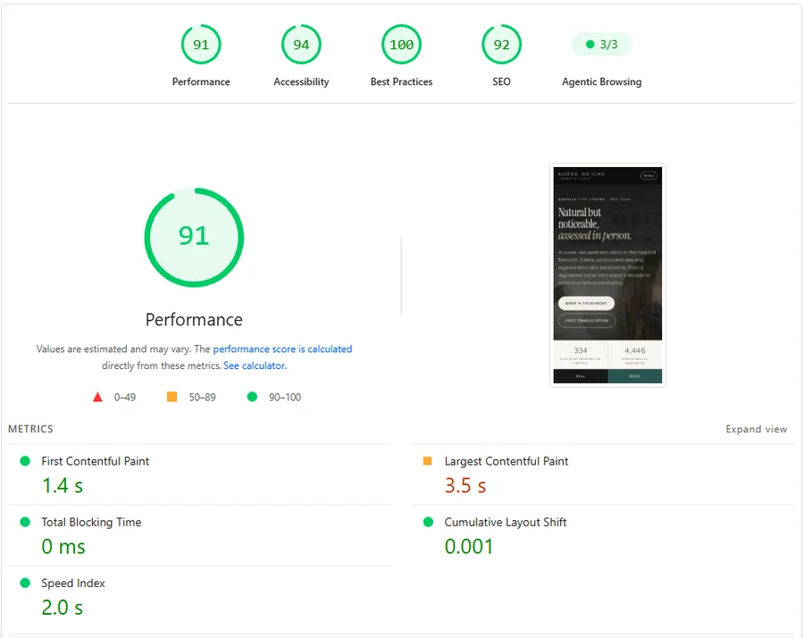 PageSpeed Insights mobile report for the new Nurse Meicha site