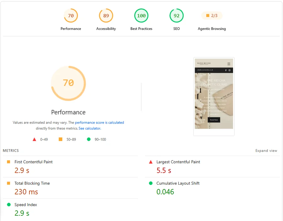 PageSpeed Insights mobile report for the old Nurse Meicha site